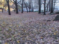 /album/fotogaleria/dsc00513-jpg/